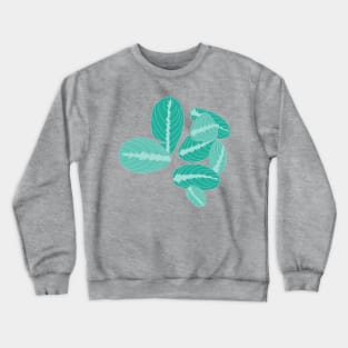 Green prayer plant Crewneck Sweatshirt